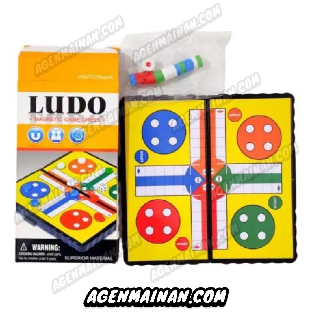 Ludo MagNet Mini